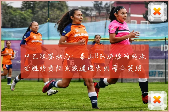 中乙联赛动态：泰山B队连续两轮未尝胜绩贵阳竞技遭遇失利蒲公英顽强战平