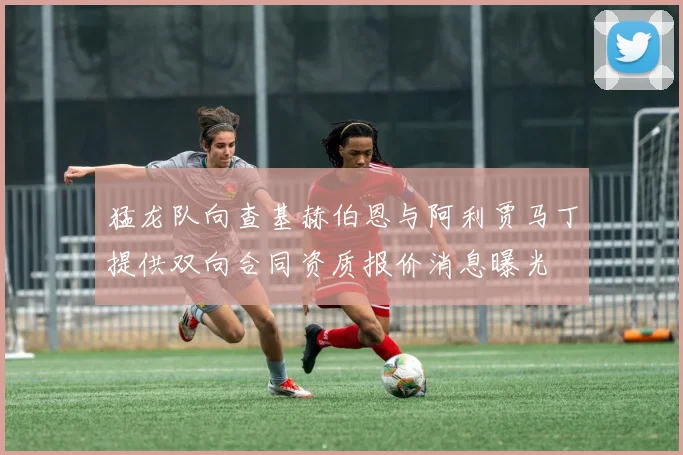 猛龙队向查基赫伯恩与阿利贾马丁提供双向合同资质报价消息曝光